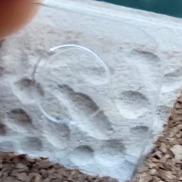 Haida Art - Blackfish Anthony Joseph - Picture 7 of 8